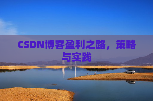 CSDN博客盈利之路，策略与实践